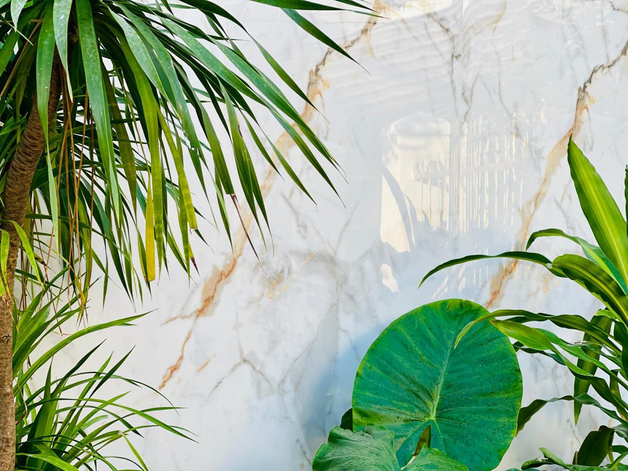 Tina House Apartment Da Nang Exterior photo